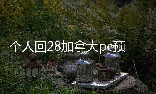 个人回28加拿大pc预测准确率100%网站服务，轻松变现，高效无忧！