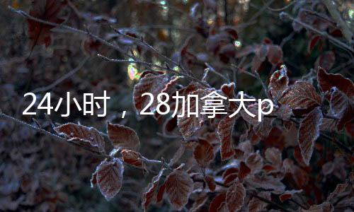 24小时,28加拿大pc预测准确率100%网站回服务轻松实现!